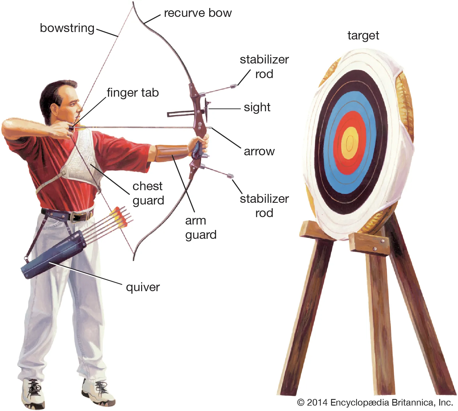 Beginner (Introduction to Archery)